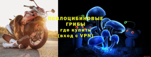 молекула духа Краснослободск