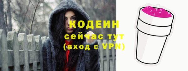 молекула духа Краснослободск