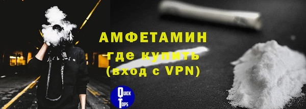 молекула духа Краснослободск