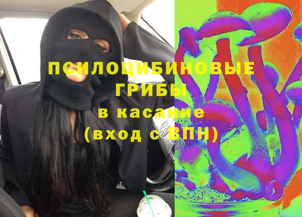 молекула духа Краснослободск
